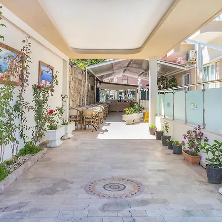 Near To Center And Appartement